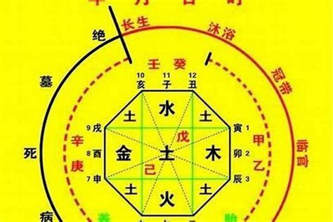 喜木火|八字五行喜忌查询